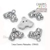 Charm Strass plateado coche 16x13mm