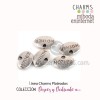 Charm metal plateado ovalo Mother