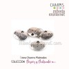 Charm metal plateado ovalo Friends