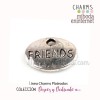 Charm metal plateado ovalo Friends