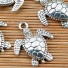 Charm Tortuga plata 16x12mm