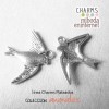 Charm Golondrina plateada