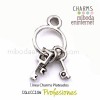 Charm Juego de llaves plateado