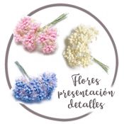 Flores para presentación